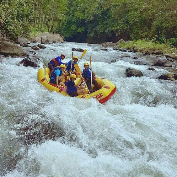 Rafting Murah Bogor: Aktivitas Seru yang Menantang di Dekat Jakarta