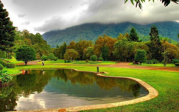 Taman Nasional   Halimun Salak : Destinasi Wisata Alam  yang Mengagumkan  di  Kota Bogor .